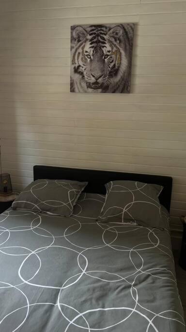 Magnifique Appartement T2 Le Barcarès Extérieur photo